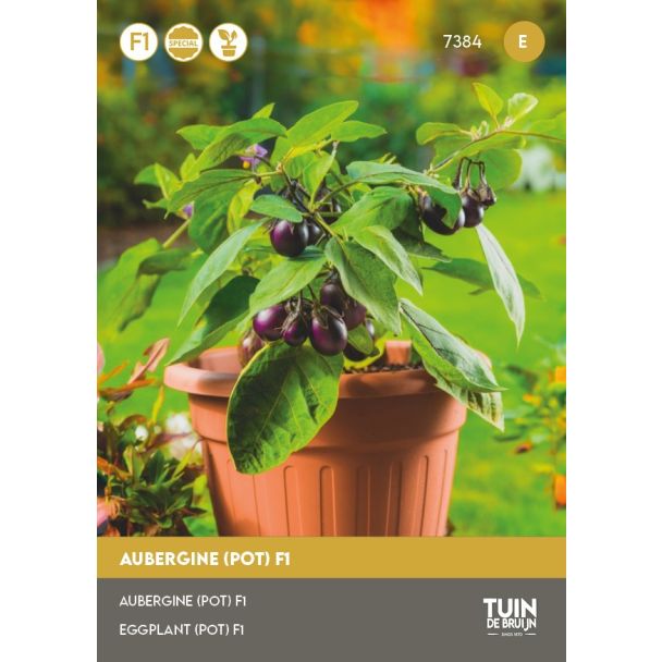 Potaubergine zaden