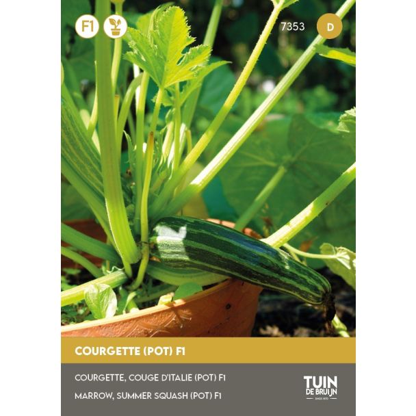 Potcourgette zaden