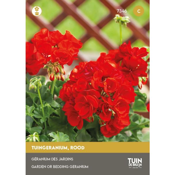 Rode geranium zaden
