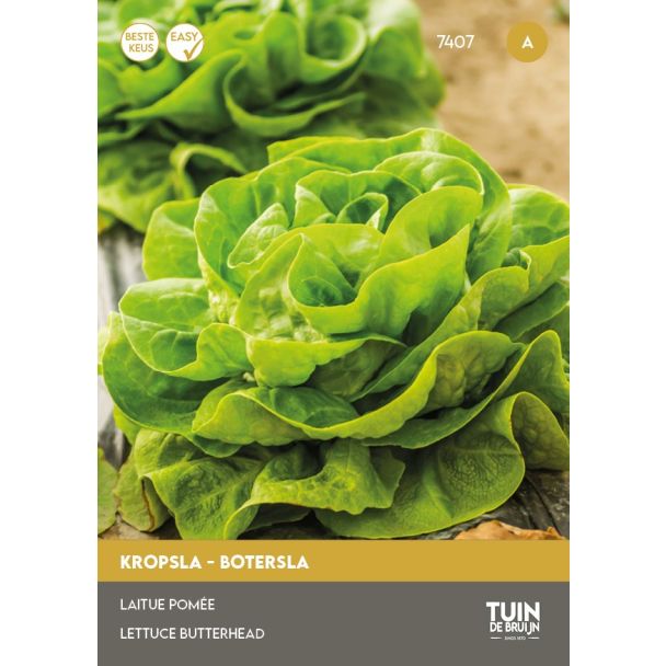 Kropsla Appia zaden Tuin de Bruijn