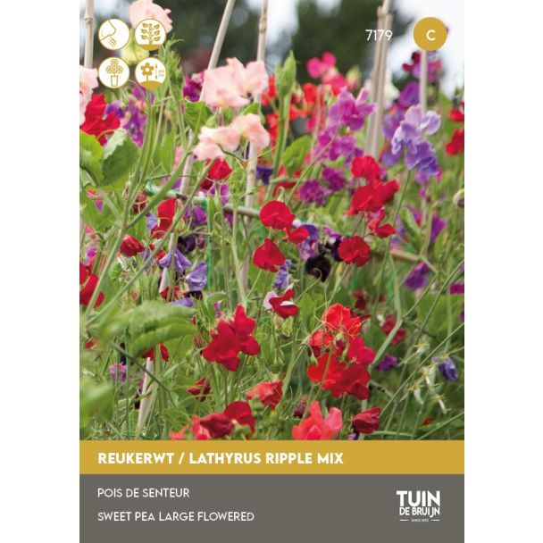 Reukerwt Ripple mix zaden Tuin de Bruijn