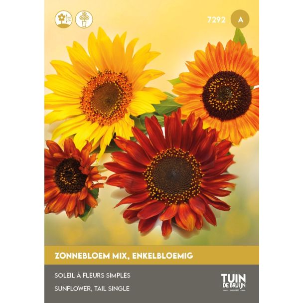 Zonnebloem avondzon mix zaden kopen