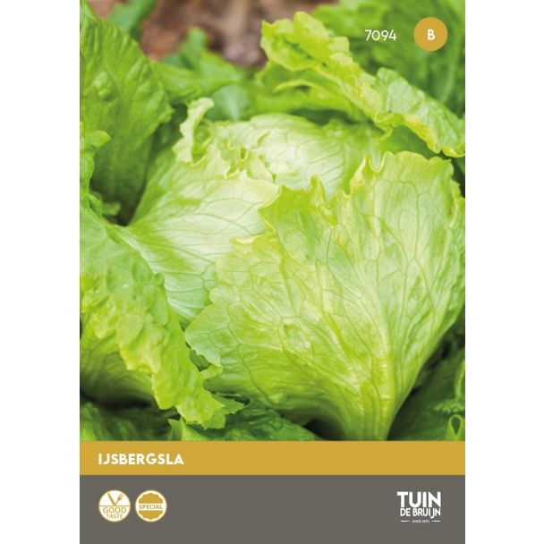 IJsbergsla zaden