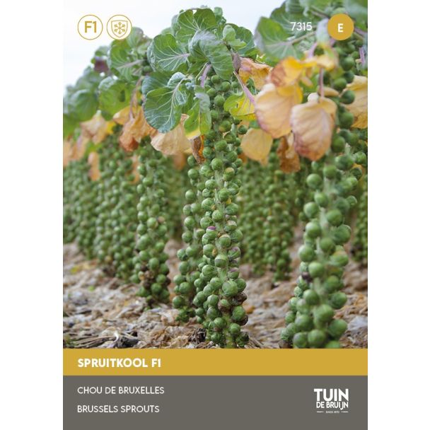 Zaden voor kindvriendelijke spruitjes