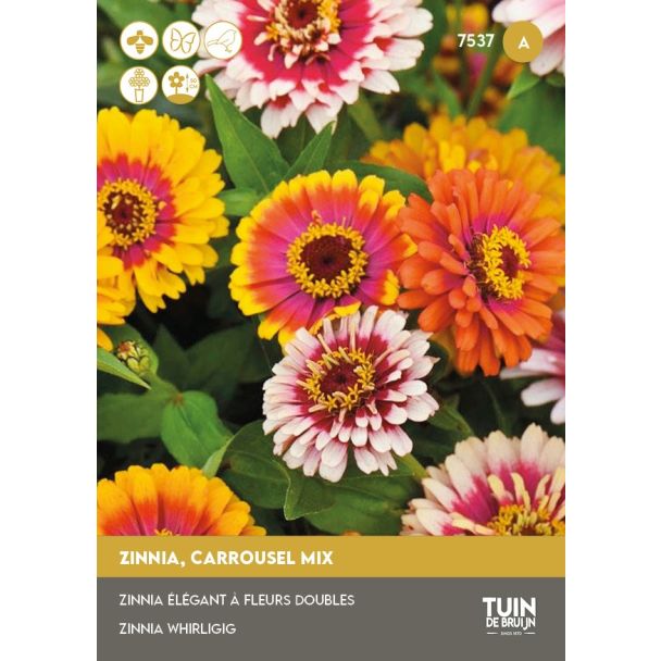 Zinnia Carrousel mix zaden van Tuin de Bruijn