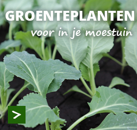 Misleidend blad inzet Moestuinenbloem.nl | alles voor tuin en moestuin | online & op de markt
